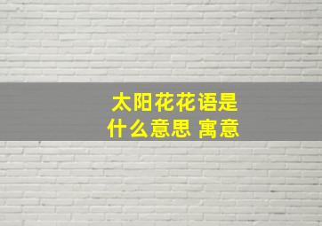 太阳花花语是什么意思 寓意